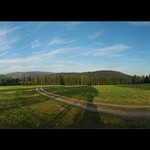 Bayerischer Wald