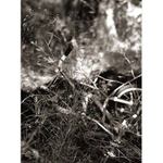 ...by se nemělo zapomínat