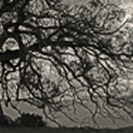 strom