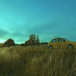 tráva, cesta, fabia ... pri západe slnka