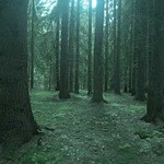 BLÉÉR VYČ : prežil som