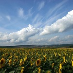 20 slunných minut dne