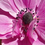 nožičky nestačil schovat