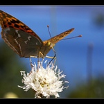 ..jen se na mně podívej...