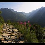 ..ranní cesta na Rysy