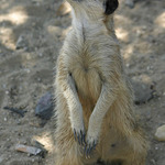 Hej,lidi!Proč nám to děláte?