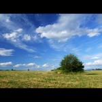 Výbeh pre školáčikov...