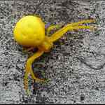 Lezlo to kolem tak jsem to trefil