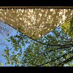 dopisní obálka léta