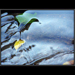 Dobrodružstvá Sindibáda plavca