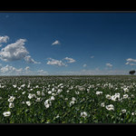 -- víc než jeden a méně než dva --