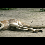 Tááák a dnes si budu válet KOULE !