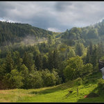 Po daždi
