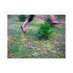 ''...tam mezi modříny''