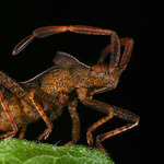 jako z jiného světa