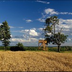Mini rozhledna na cyklostezce.