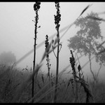 quan chai la fuelha...