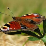 Ke startu připraven