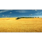~ panorama obilná ~