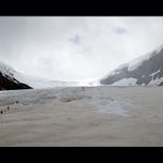 Icefield