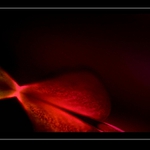 eibi - aj duša boli