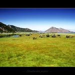 ...Skadarské jezero...