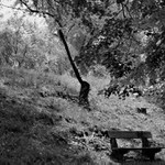 Letní pusillanimité