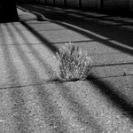 Do Žínky Na Slupi L.P. 2007