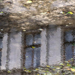 Okna, co mám pod čepicí