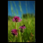 Luční pohodička...