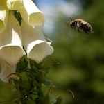 Přistání povoleno...