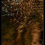 Zlomyslné vodníče