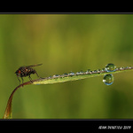 ...ranní momenty...