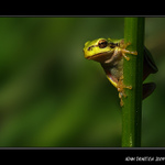 ...kdo to ruší?...