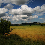 Z vláčku