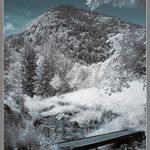 V pohádkové krajině