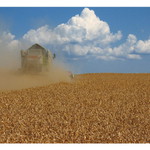 40 stupňů ve stínu