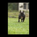 Fotit z očí do očí tě teda učili jooooo.... .