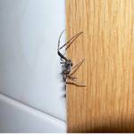 ... návštěva v koupelně