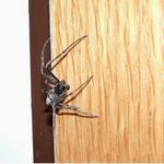 ...kdopak pozná co je to zač ?...