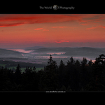 THE BISMARC TOWER LOOK