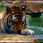 ...jen blíznout....