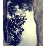 *** Zrcadlo Tebe ***