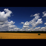 Mráčková intervence