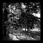 Návraty do veltruského parku XXVII - Baldachýn z listí