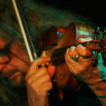 The Plastic People of the Universe