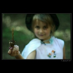 Za co může veverka.