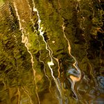 ...čáry života...