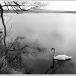 Břehyňský rybník