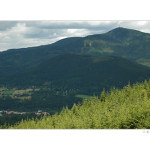 ...královna Beskyd...